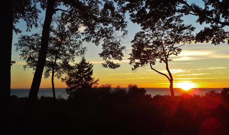 Pet-Friendly One Crow Cottage In Harbor Springs! Eksteriør billede