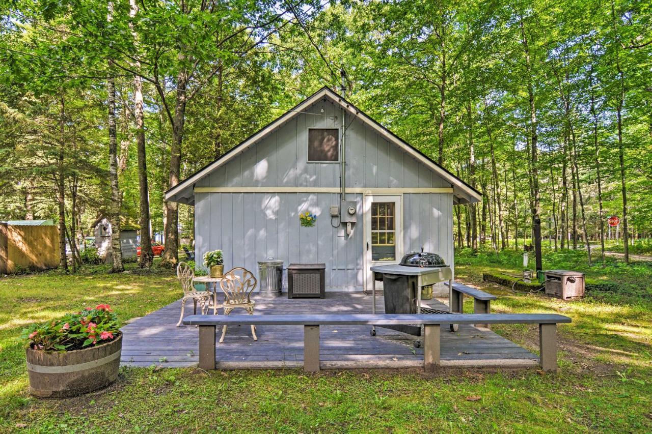 Pet-Friendly One Crow Cottage In Harbor Springs! Eksteriør billede